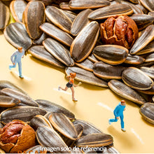 Cargar imagen en el visor de la galería, Pipas de Girasol Sabor Nuez - DHD (90g)