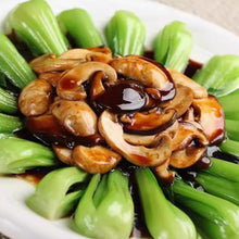 Cargar imagen en el visor de la galería, Salsa de Ostras Vegetal 510G Lee Kum Kee