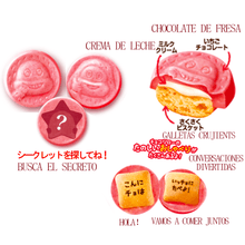 Cargar imagen en el visor de la galería, Shoei Sakuyama Galletas De Chocolate Fresa 96g